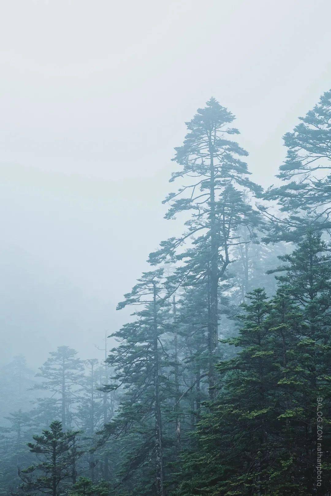 逗比英雄